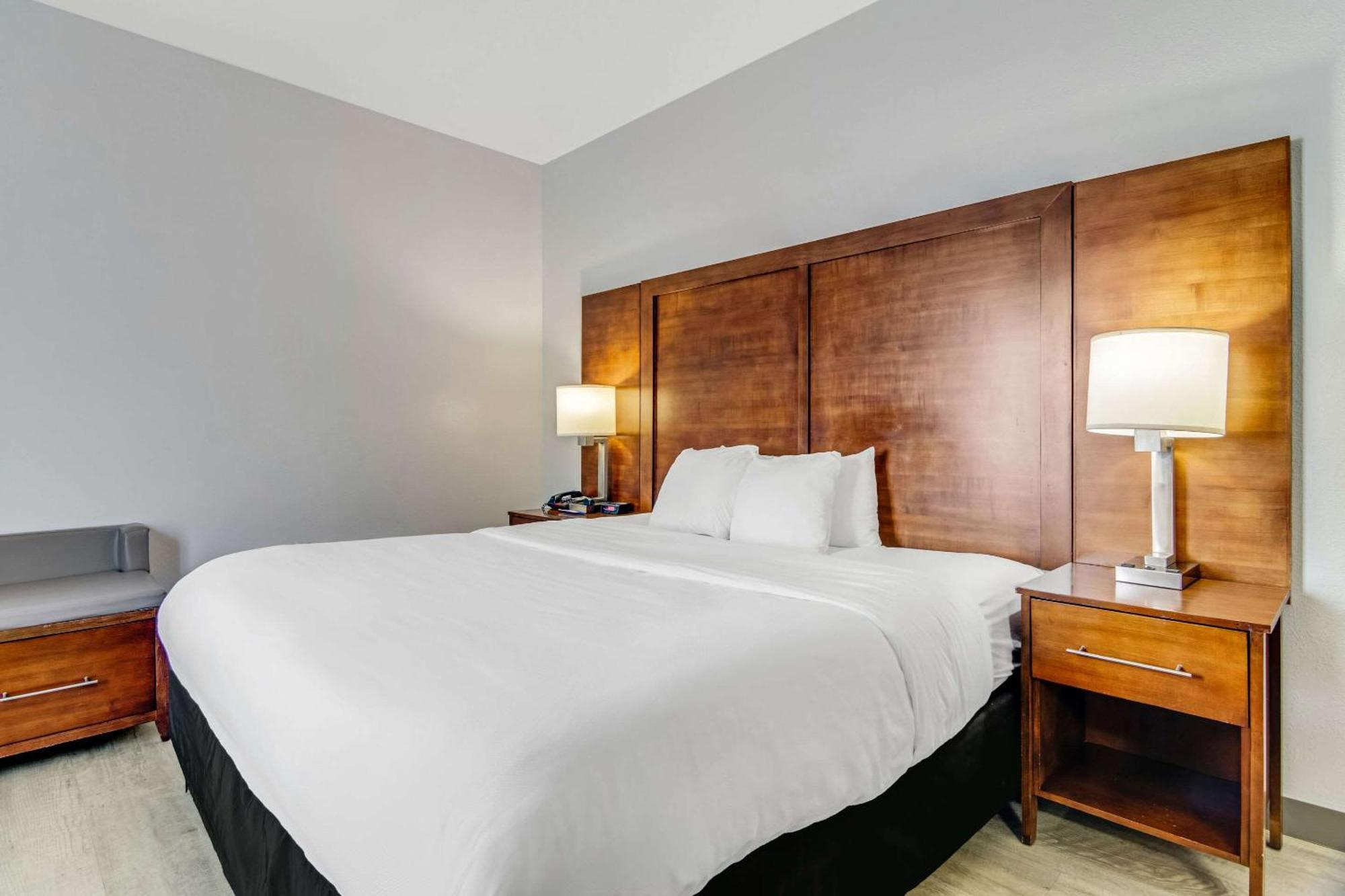Comfort Suites Near I-80 And I-94 Lansing Exteriör bild
